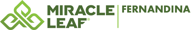 Miracle Leaf Fernandina Miracle Leaf Fernandina