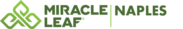 Miracle Leaf Naples Miracle Leaf Naples